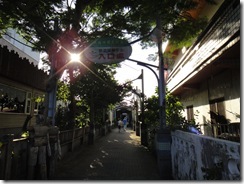 DSC08829