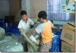 clip_image004