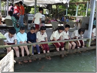 DSCN0385