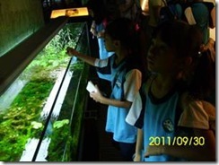 clip_image004