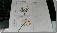 二忠的植栽記錄特寫_171025_0001