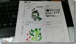 二忠的植栽記錄特寫_171025_0002