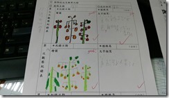 二忠的植栽記錄特寫_171025_0005