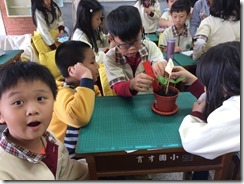 種豆子