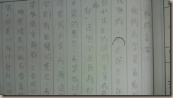 IMAG4731