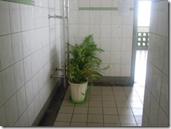 DSCN1292