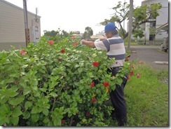 DSCN0304