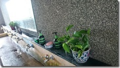 104廁所綠美化-1