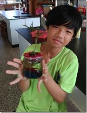clip_image006[6]