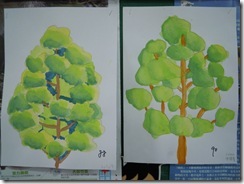 DSCN8673