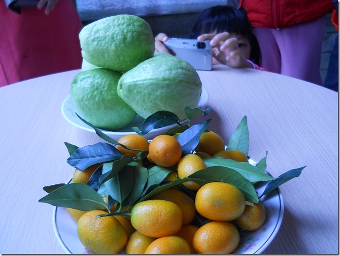 DSCN8172