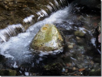 水04【動靜】張雅涵