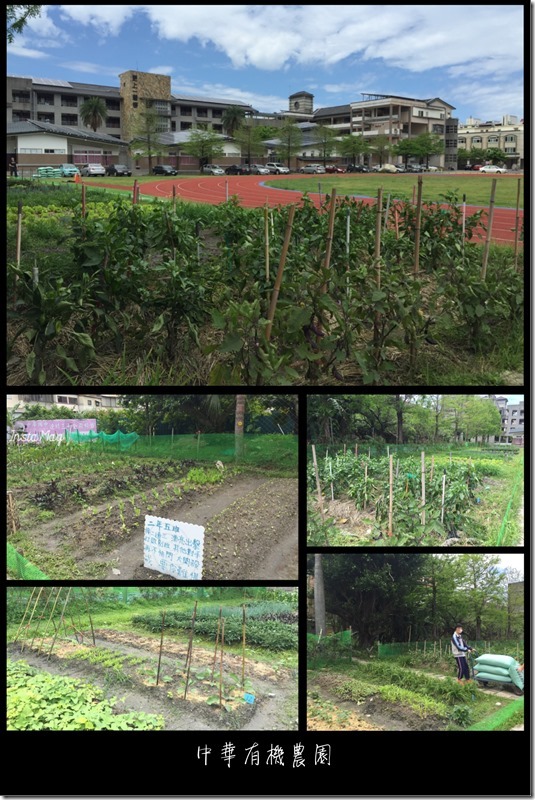 中華農園