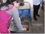 IMG_2677