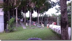 IMAG0831