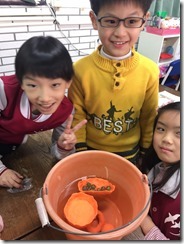 新增資料夾_9