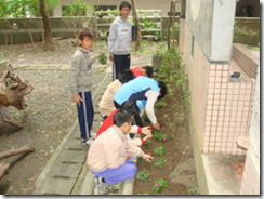 clip_image002