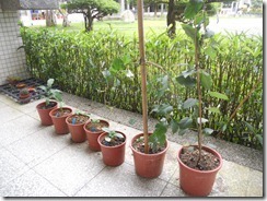 DSCN3819