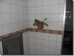DSCN3687
