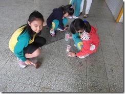 IMG_5791