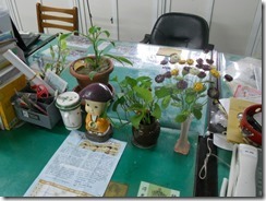 DSCN3679