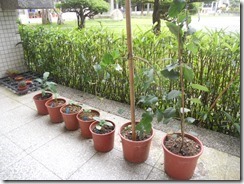 DSCN3819