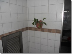DSCN3687
