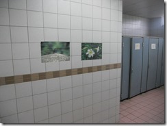 DSCN3689