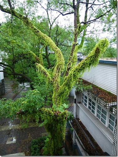 P1000691