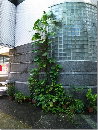 P1000706
