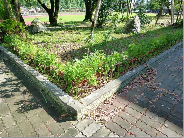 P1000708