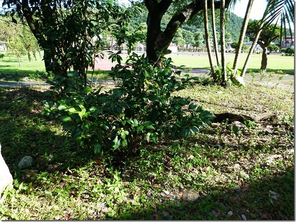 P1000709