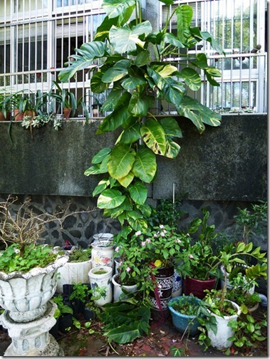 P1000711