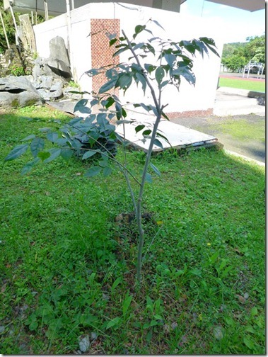 P1000713