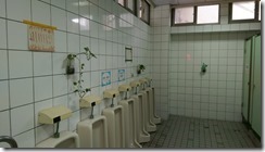 廁所綠美化