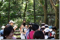 DSC00031