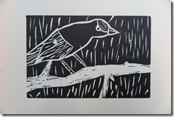 IMG_1440