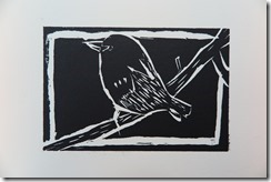 IMG_1457