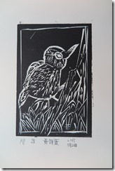 IMG_1468
