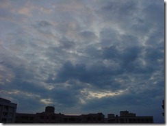 DSC03108