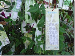 DSC00845
