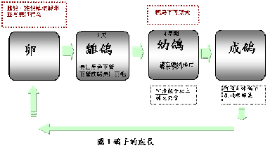 clip_image001