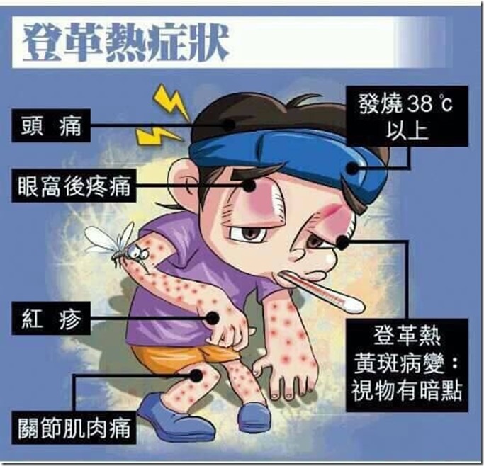 登革熱症狀