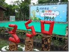 DSCF6821