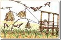 clip_image004