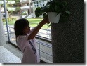 學生負責照顧盆栽