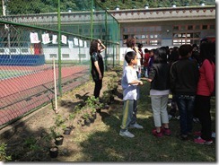 IMG_2747[1]