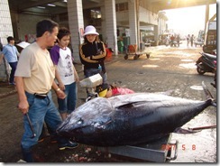 鮪魚