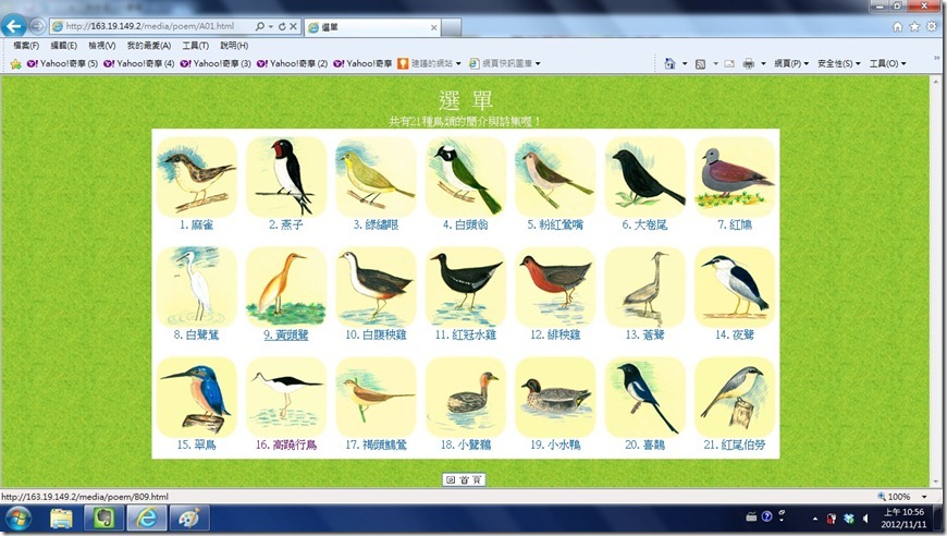 bird