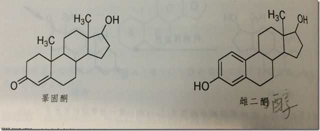 睪固酮與雌二醇